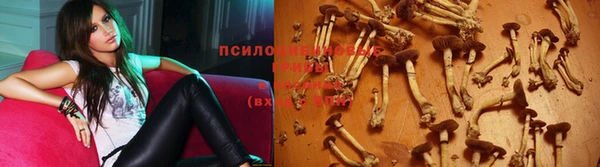 ECSTASY Богданович
