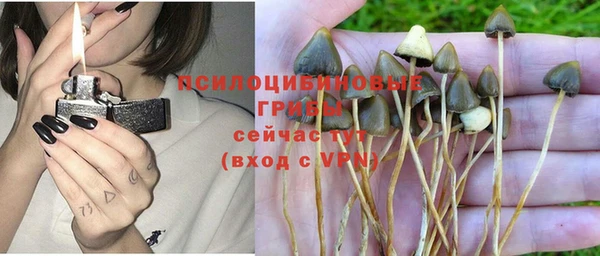 каннабис Богородицк