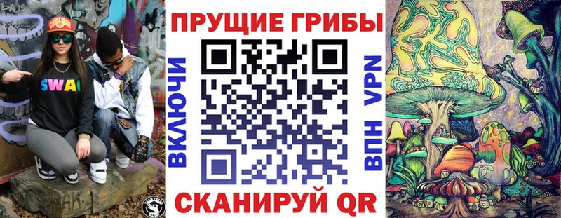 Псилоцибиновые грибы GOLDEN TEACHER кракен онион Богучар
